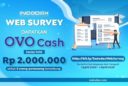 Web surveys