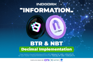 Informasi Implementasi Desimal Token Btrips (BTR) dan NanoByte Token (NBT)